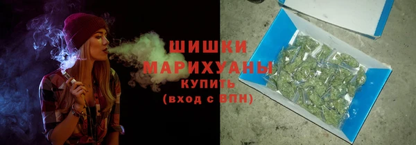 прущая мука Вяземский