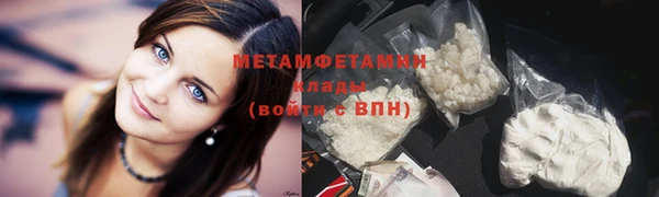 прущая мука Вяземский