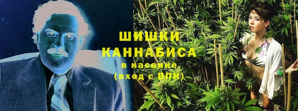 дживик Бронницы
